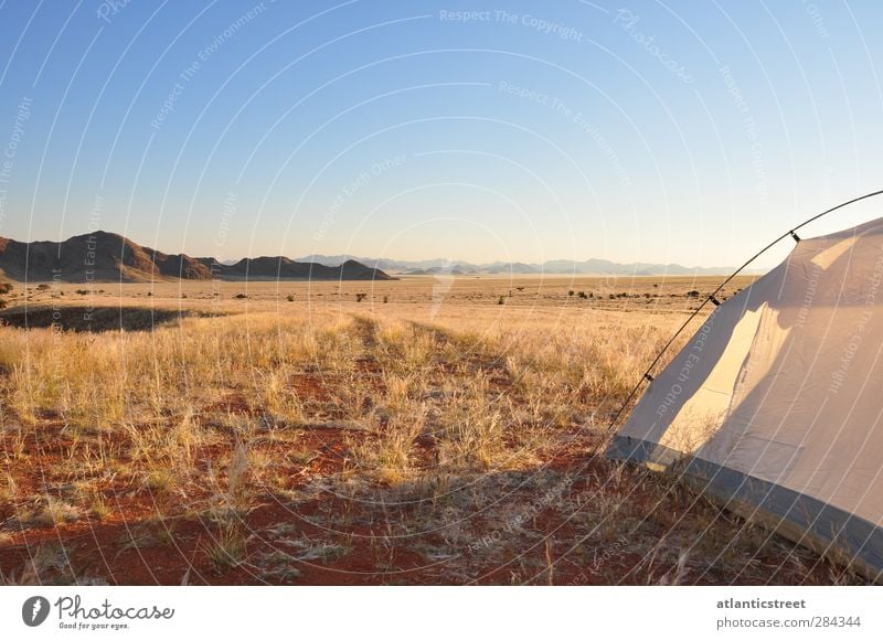 Camp in the Namib Vacation & Travel Freedom Safari Camping Nature Landscape Cloudless sky Sunrise Sunset Beautiful weather Warmth Desert Namib Naukluft Park