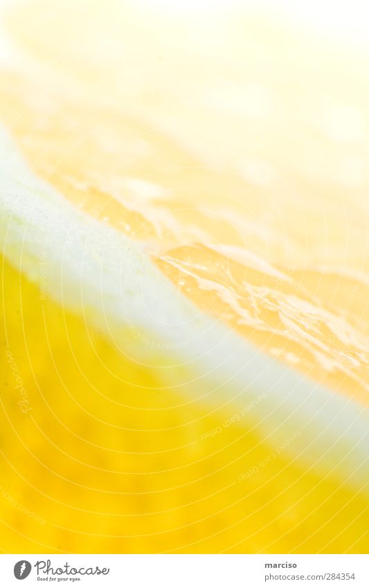 lemon Fruit Lemon Nutrition Organic produce Beverage Hot drink Lemonade Tequila Drinking Juicy Clean Yellow Colour photo Studio shot Macro (Extreme close-up)