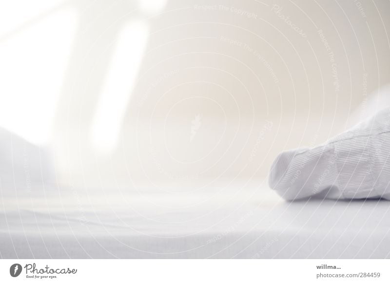 empty bed in the morning light Calm Living or residing Bed Bedroom Sheet Pillow Bright Clean White Purity Relaxation Morning Deserted Hospitality Nursing