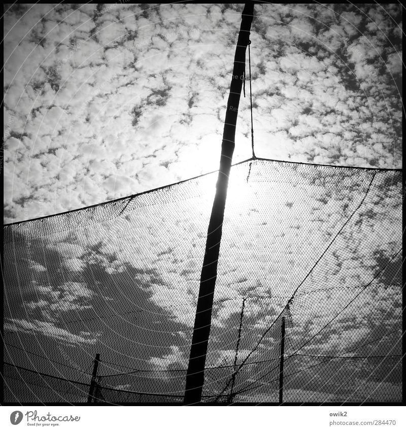 network agency Workplace Fishing net Fishery Sky Clouds Climate Weather Beautiful weather Hang Illuminate Thin Elegant Large Patient Calm Serene Contentment