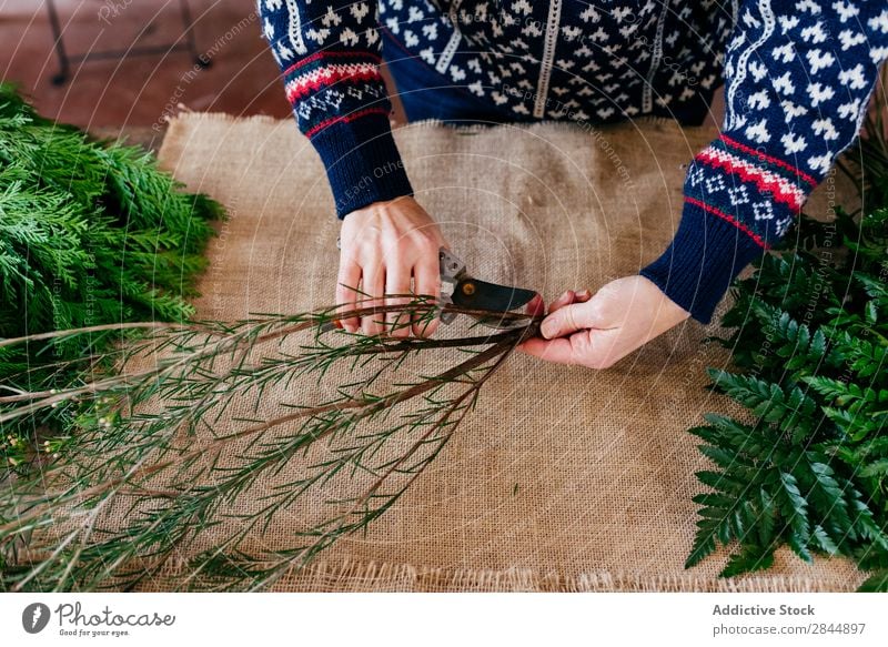 Crop person cutting twigs Human being Twig Plant Branch Decoration Green Seasons bunch Linen Cloth Hand Leisure and hobbies Bouquet Florist pruner careful