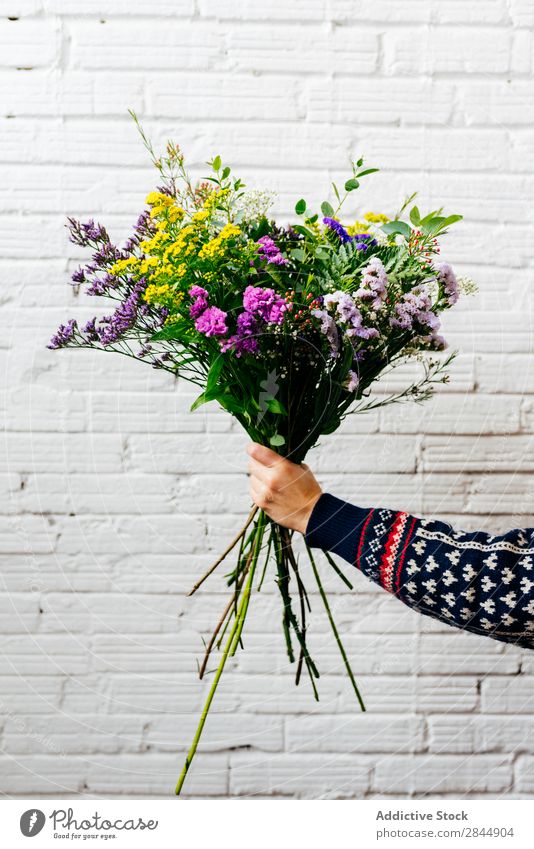 Crop hand holding bouquet Hand Bouquet Flower Beautiful Nature Floral Florist Blooming Plant composition Human being bunch decor Leisure and hobbies Profession