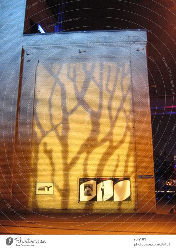 projection Factory hall Building Wall (building) Yellow Tree Architecture Old Lighting Orange Projection