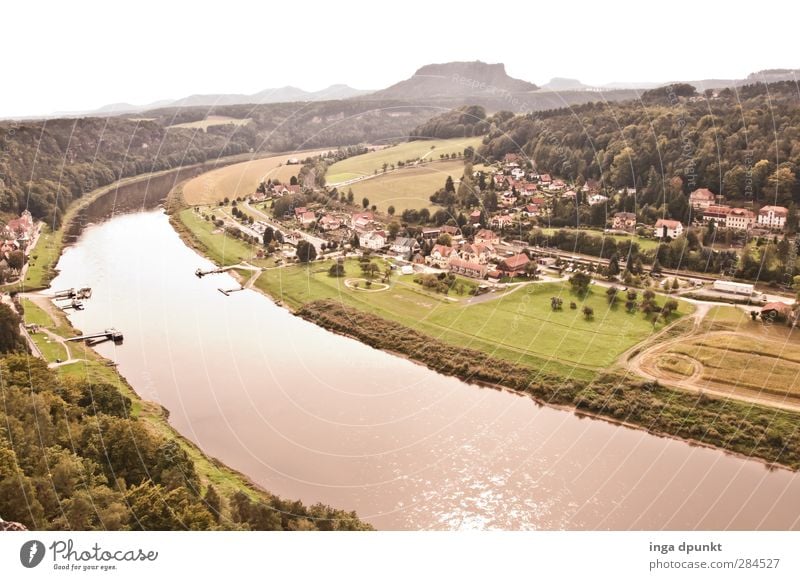Elbe valley Environment Nature Landscape Plant Summer Beautiful weather Meadow Hill Mountain River bank Saxon Switzerland Saxony Federal eagle Elbtalaue