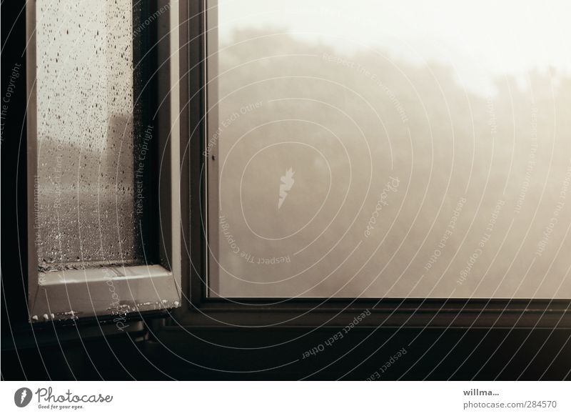 Rain tristesse at the open window Window Cold Gloomy Gray Boredom Sadness Distress Frustration Moody Open View from a window Window pane Ventilate October