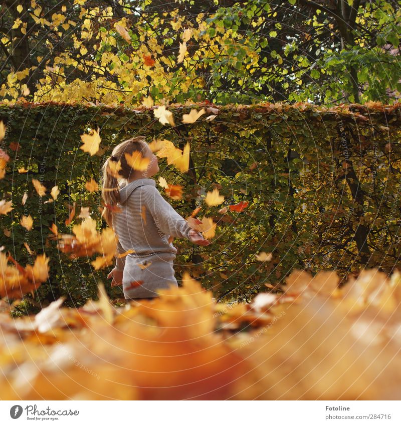 So much fun is the HERBST!! Human being Feminine Child Girl Infancy Body Skin Head Hair and hairstyles Arm Environment Nature Plant Autumn Beautiful weather