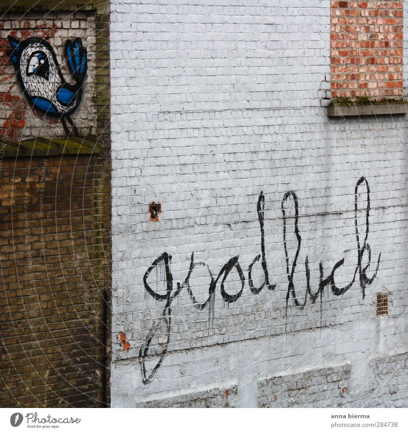 good luck Happy Examinations and Tests Art Wall (barrier) Wall (building) Bird Brick Sign Characters Graffiti Smiling Trashy Town Success Power Hope Beginning