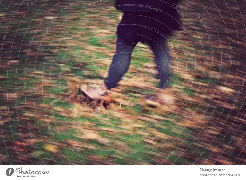 [wpt HH 10.12] Leaf walk Feminine Woman Adults Legs Feet Human being 30 - 45 years Autumn Meadow Footwear Skirt Tights Cold Joy Exuberance Movement