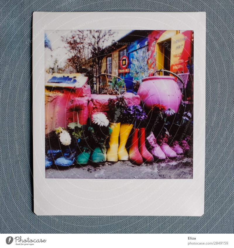 Colorful Christiania Footwear Boots Rubber boots Creativity Street art Multicoloured Art Artistically talented Christianshavn christiania Garden Playing