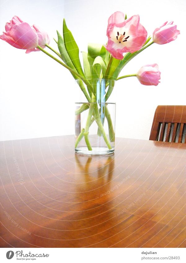 Bright Flowers Tulip White Table Wood ikea Interior design Bench