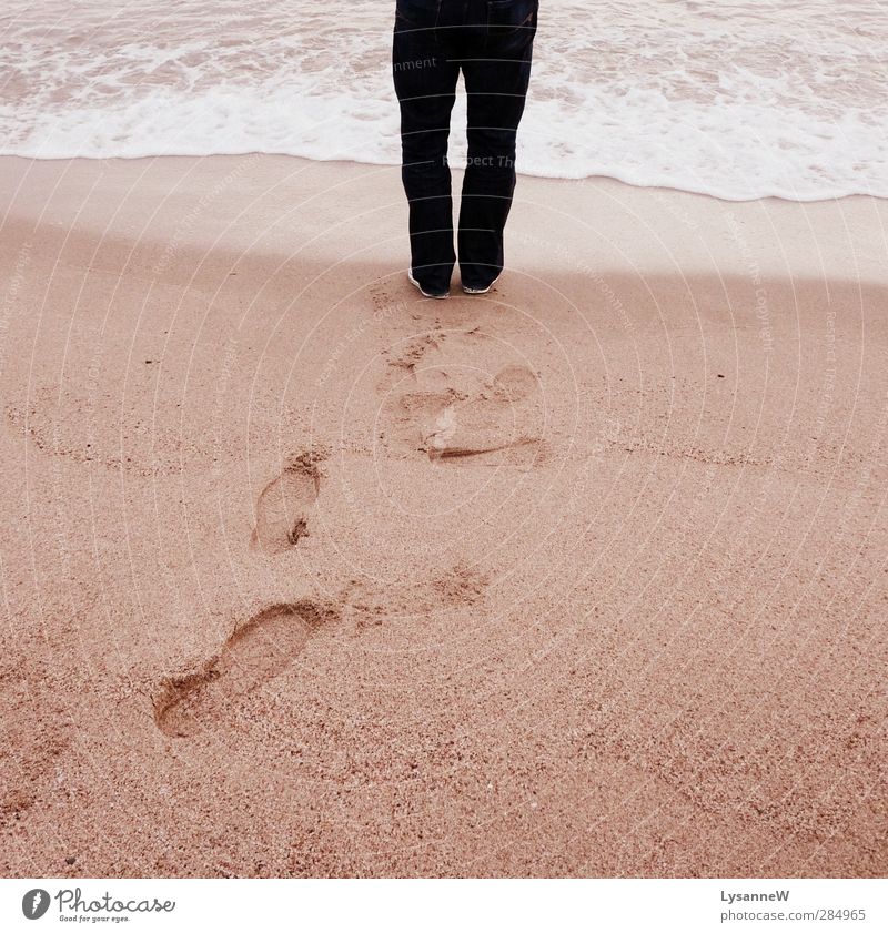 footsteps Nature Sand Water Summer Wind Waves Beach Calm Longing Relaxation Freedom Vacation & Travel Colour photo Exterior shot Morning Dawn Light