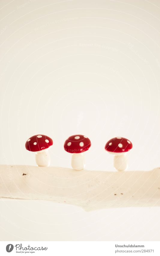 Three times lucky Lifestyle Living or residing Flat (apartment) Decoration Amanita mushroom Kitsch Odds and ends Good luck charm Sign Digits and numbers