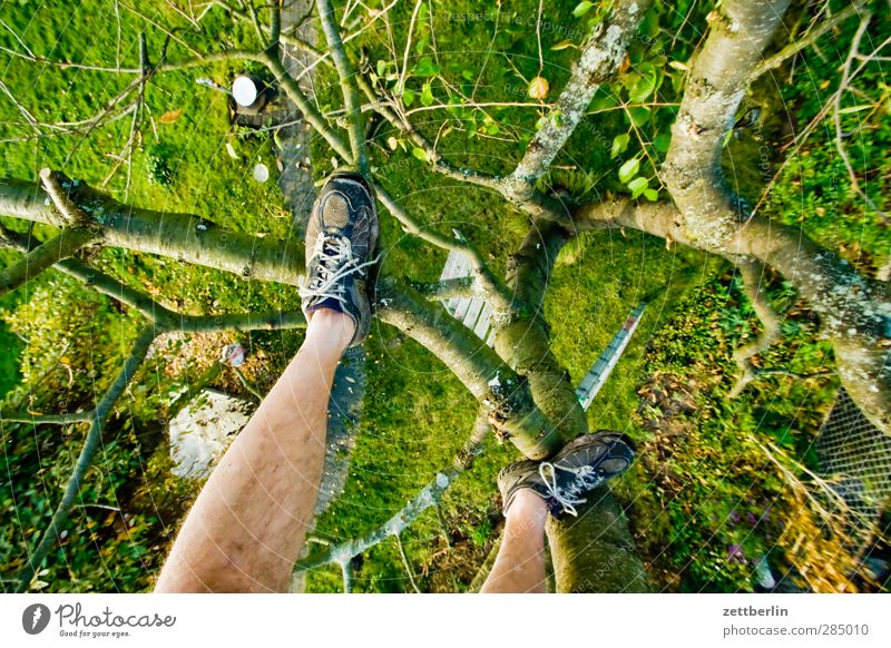 Cherry tree with shoes Sun Garden Gardening Legs Feet 1 Human being Nature Plant Autumn Tree Grass Foliage plant Agricultural crop Park Meadow Sports Joy Power