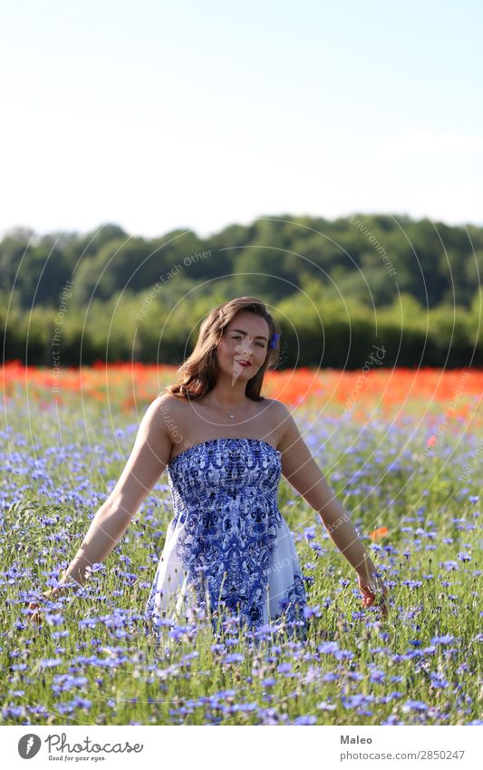 Portrait of a young woman on a cornflower field pretty Blue Girl Hair and hairstyles Happy portrait Woman Young woman Bouquet Field Model Nature Spring Summer