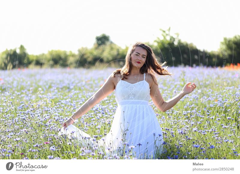Portrait of a young woman on a cornflower field pretty Blue Girl Hair and hairstyles Happy portrait Woman Young woman Bouquet Field Model Nature Spring Summer
