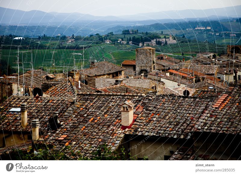 Roofs over S.G. Summer vacation Tuscany San Gimignano Italy Art Landscape Sunrise Sunset Hill Vineyard Village Old town House (Residential Structure) Antenna