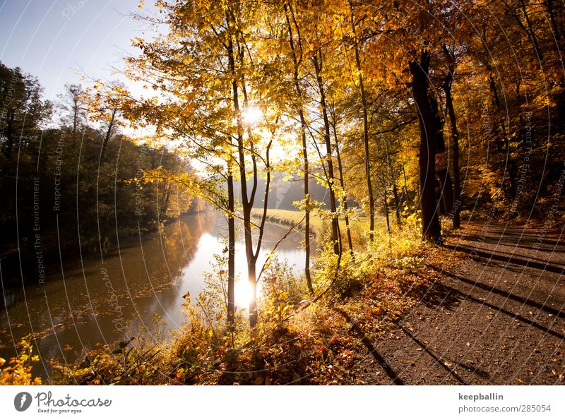 &lt;font color="#ffff00"&gt;-==- sync:ßÇÈâÈâ Trip Freedom Sun Hiking Environment Nature Landscape Sunlight Autumn Beautiful weather Forest River Yellow Gold