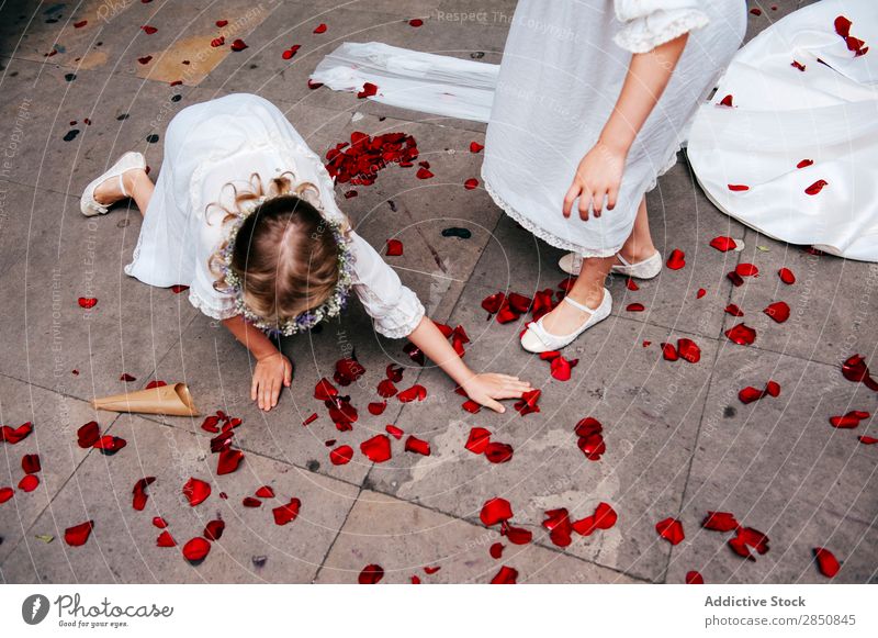 Girls removing rose petals from floor remove Rose Blossom leave Wedding Story Feasts & Celebrations Ceremony Decoration Event Child Human being Woman Beautiful