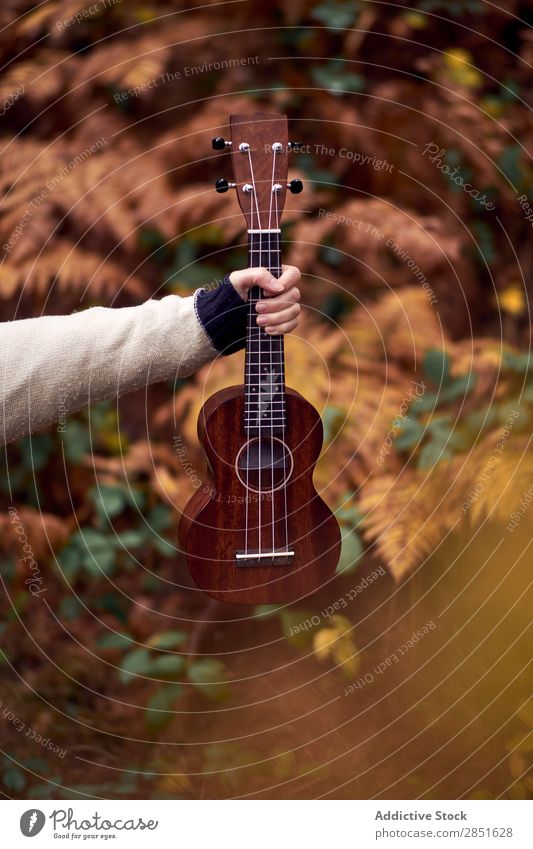 Hand with ukulele in forest Forest Guitar Ukulele Small Music Nature Acoustic instrument Musical Playing Guitarist Countries Musician String Beautiful Wood