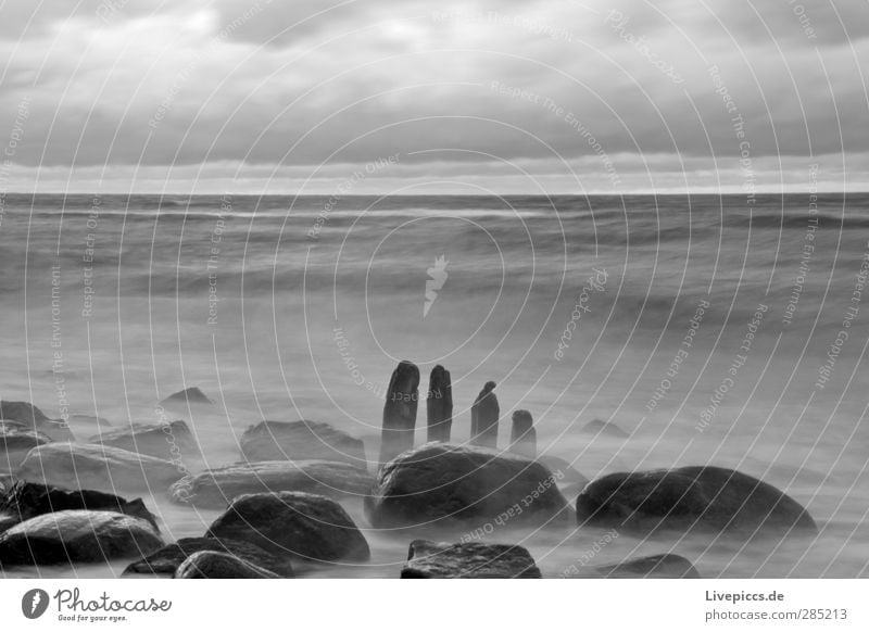 1,2,3,4 Environment Nature Landscape Water Sky Clouds Wind Waves Coast Beach Baltic Sea Stone Wood Romp Gray Black Black & white photo Exterior shot Evening