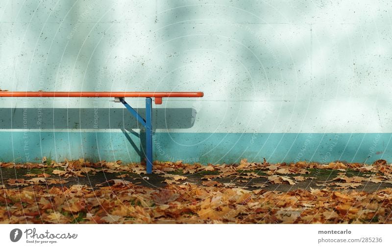 end in the lido.... Environment Nature Autumn Beautiful weather Leaf Wall (barrier) Wall (building) Bench Ale bench Concrete Wood Metal Natural Blue Brown