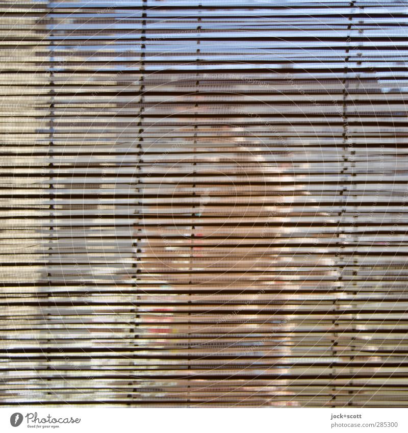Confusion all along the line Lifestyle Style Decoration Human being Balcony Window Roller blind Glass Line Movement Warmth Identity Irritation Double exposure