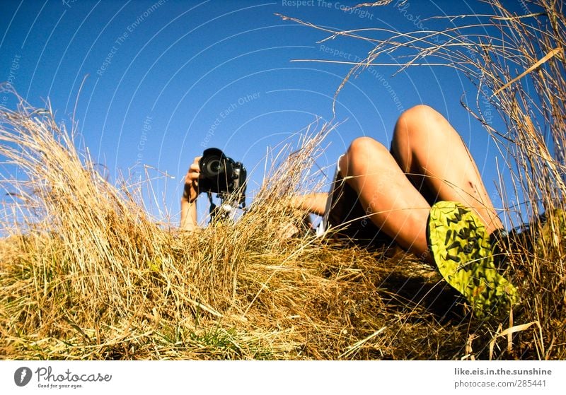 a bed in the cornfield* Leisure and hobbies Androgynous Arm Hand Legs Feet 1 Human being Environment Nature Sky Cloudless sky Summer Autumn Beautiful weather