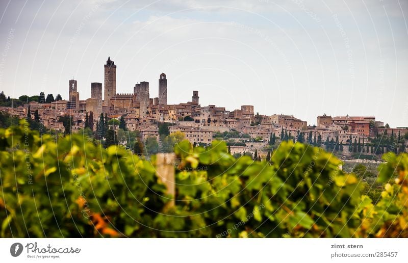 Vineyards before S.G. Wine Vacation & Travel Tourism Trip Far-off places Nature Landscape Sky Autumn San Gimignano Tuscany Italy Village Skyline Tower Building