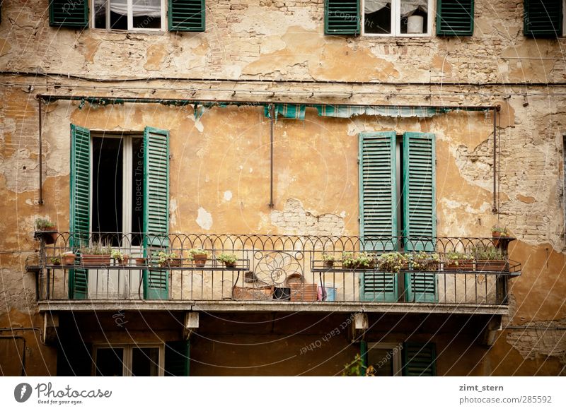 Balconies mediterranean Vacation & Travel Tourism Trip Living or residing House (Residential Structure) Balcony Plant Siena Tuscany Italy Town Downtown Facade