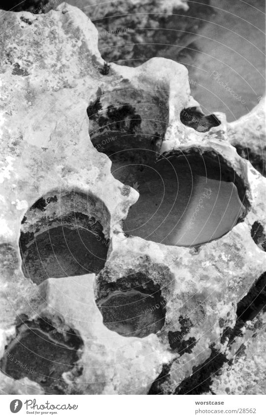 erosion holes Limestone Erosion Abstract Water Black & white photo Close-up