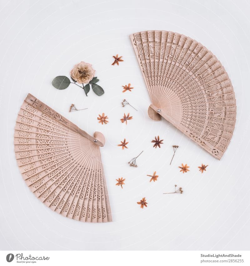 Elegant wooden fans and dried flowers Design Beautiful Decoration Craft (trade) Art Nature Plant Flower Rose Blossom Wood Natural Retro Wild Pink White Colour