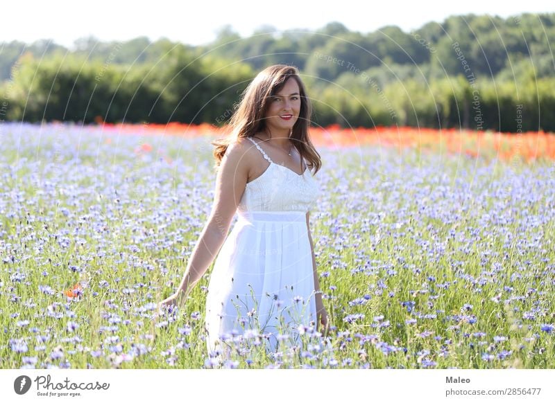 Portrait of a young woman on a cornflower field pretty Blue Girl Hair and hairstyles Happy Lifestyle Nature portrait Woman Young woman Field Model Spring Summer