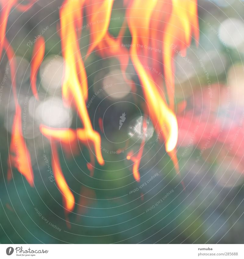 The hedge burns Fire Warmth Bizarre Kindle Flame Light Light (Natural Phenomenon) Double exposure Experimental Abstract Colour photo Deserted Reflection