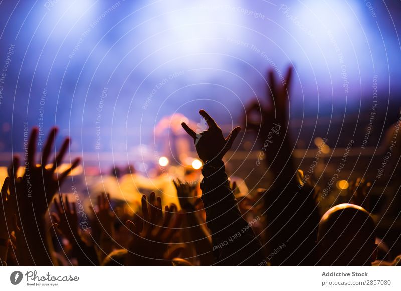Crowd at concert Acoustic Audience Background picture Band bass Beat Feasts & Celebrations Applause Concert crowd Dance Disco Event Festival Fog Light Live