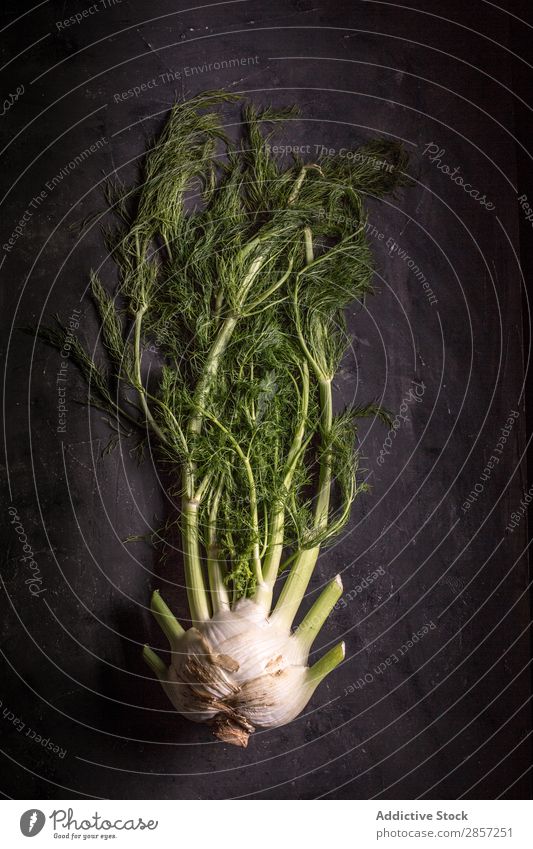 Fresh frennel on dark background Agriculture antioxidant Background picture Bulb Dark Diet Fennel flavor Food Green Healthy Herbs and spices Ingredients Leaf