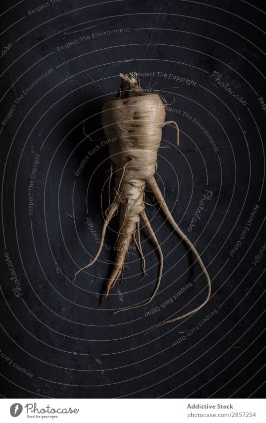 Fresh parsnip on dark background Agriculture antioxidant Background picture Bulb Dark Diet flavor Food Green Healthy Herbs and spices Ingredients Leaf Natural