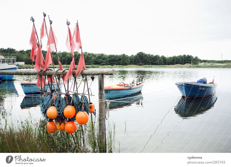fishing culture Environment Nature Landscape Water Sky Summer Forest Coast Lakeside Baltic Sea Navigation Fishing boat Rowboat Harbour Rope Loneliness Freedom