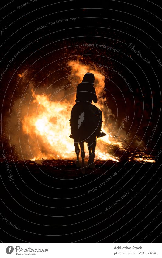 Horse riding through bonfire Ancient Animal Bonfire Burn Feasts & Celebrations Fear Fire Flame Jump Night Party purification Rider Ritual Spain Tradition