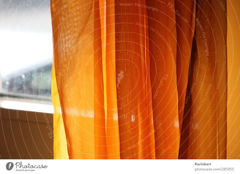 Orange peel. Lifestyle Living or residing Flat (apartment) Interior design Decoration Room Wall (barrier) Wall (building) Window Line Stripe Net