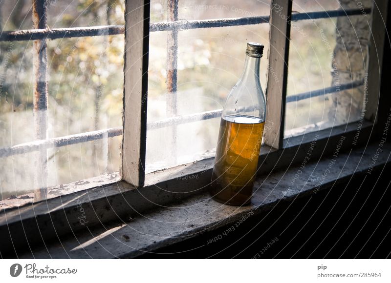 booze Beverage Alcoholic drinks Spirits Bottle of vodka Ruin Window Metal grid Window board Vice Decline Past Transience Addiction Uninhabited Rust per mil