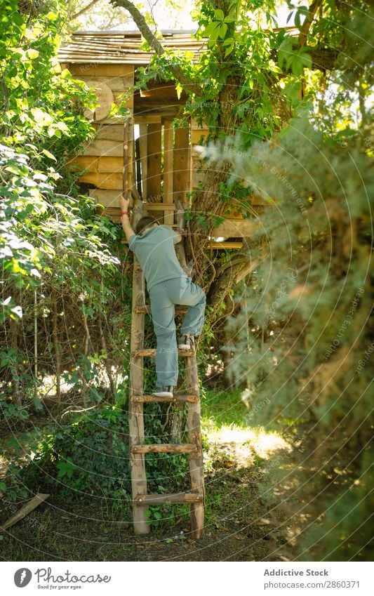 Blonde boy climbing a ladder at a treehouse Adventure Architecture Boy (child) bulding Infancy Child Climbing Construction Landscape Forest Green Home-made