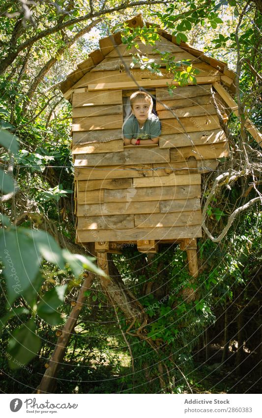 Blonde boy playing at a wooden treehouse Adventure Architecture Boy (child) bulding Infancy Child Climbing Construction Landscape Forest Green Home-made