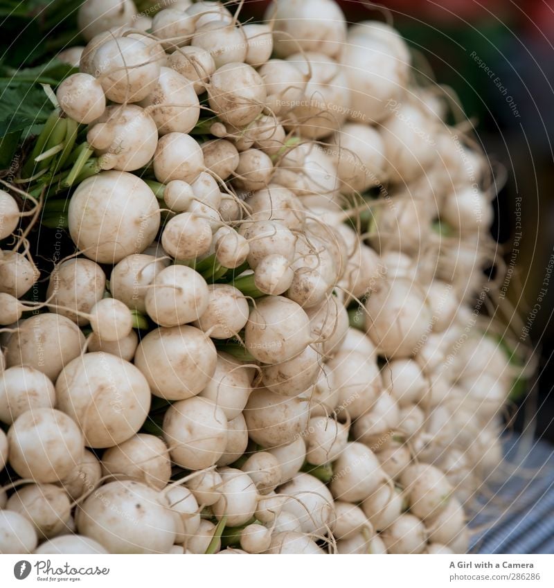 Harvest Thanks Food Vegetable Radish Organic produce Vegetarian diet Diet Fresh Healthy Many Bundle Round Tangy Subdued colour Exterior shot Close-up Detail Day