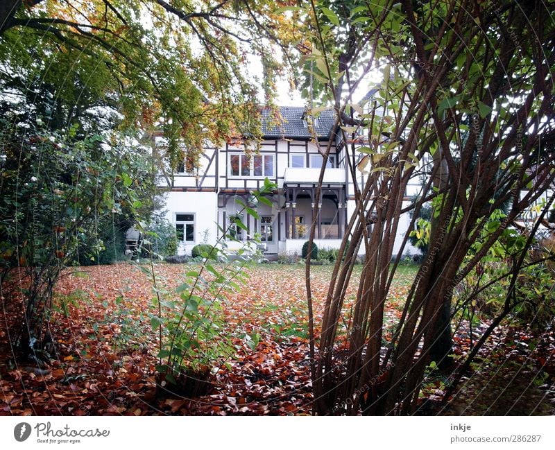 the secret garden II Living or residing Flat (apartment) House (Residential Structure) Garden Half-timbered house Autumn Tree Grass Bushes Leaf Meadow Deserted