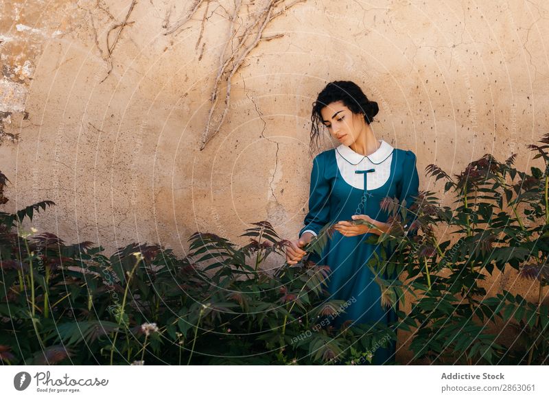 Attractive Arabic woman in dress between plants near wall Woman Plant Dress Wall (building) arabic Moroccan Stone Beautiful Old Blue Brunette Green