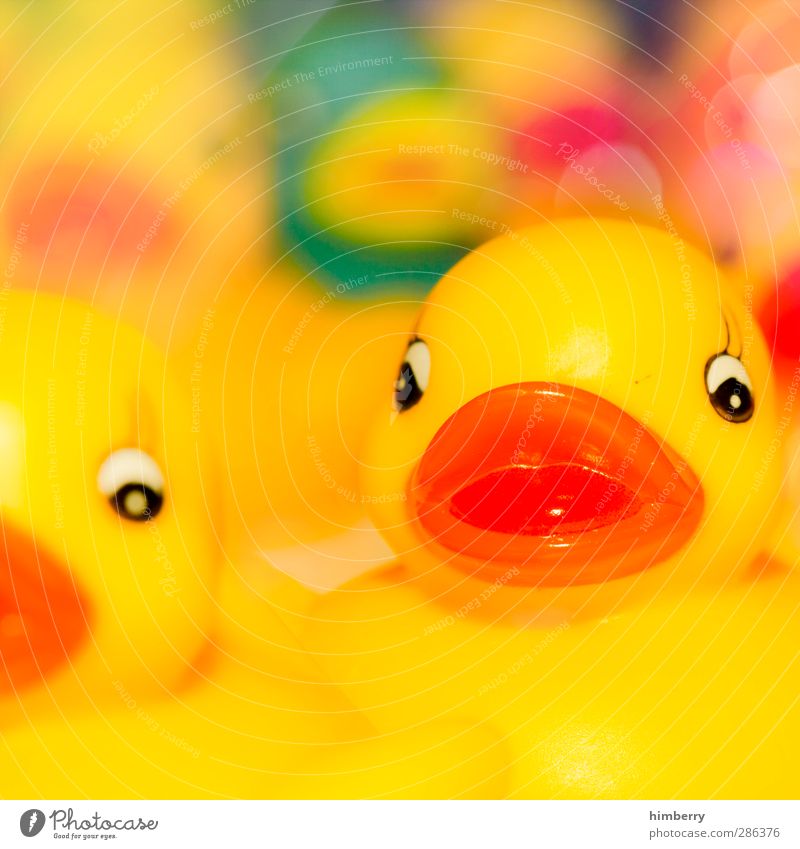 duckface Lifestyle Style Design Joy Leisure and hobbies Playing Art Toys Hip & trendy Yellow Squeak duck Duck Beak Bathtub Swimming & Bathing Shopping center
