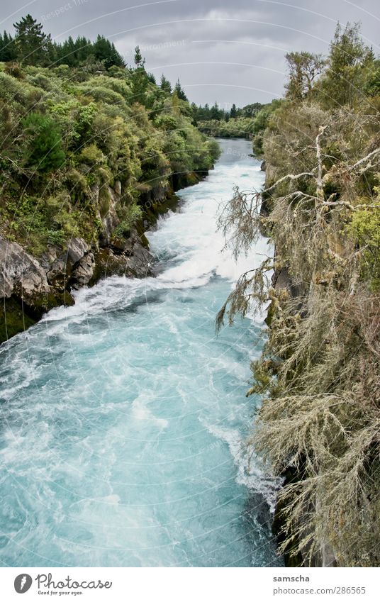 huka if Vacation & Travel Nature Landscape Water Sky Clouds Storm clouds Weather Forest River bank Waterfall Threat Fluid Cold Wet Wild Adventure New Zealand