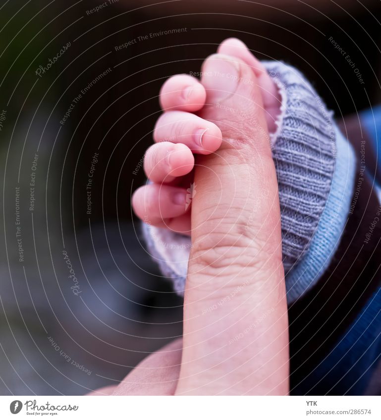 hold on Human being Child Baby Toddler Man Adults Parents Father Family & Relations Infancy Life Hand Fingers 2 0 - 12 months 1 - 3 years 30 - 45 years Touch