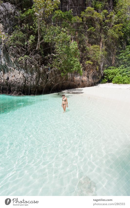 lost Thailand Krabi Ko Phi Phi Le Phi Phi island Woman Bikini Thin Graceful Andaman Sea Vacation & Travel Travel photography Idyll Freedom Card Tourism Paradise