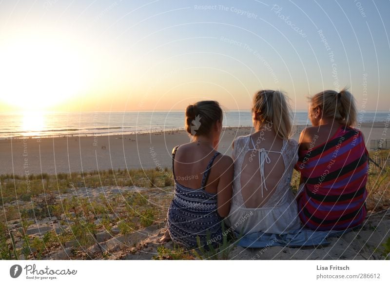 friends of the sun... Vacation & Travel Summer Summer vacation Sun Beach Ocean Human being Feminine Young woman Youth (Young adults) Friendship Life Back 3